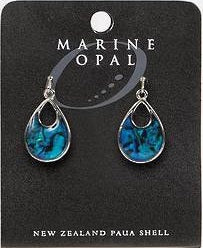 Paua Shell Earrings