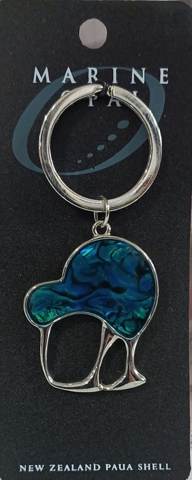 Paua Shell - Key ring