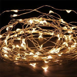 5m Warm Copper Wire Seed Lights (battery operated) - Yakedas Party and Giftware